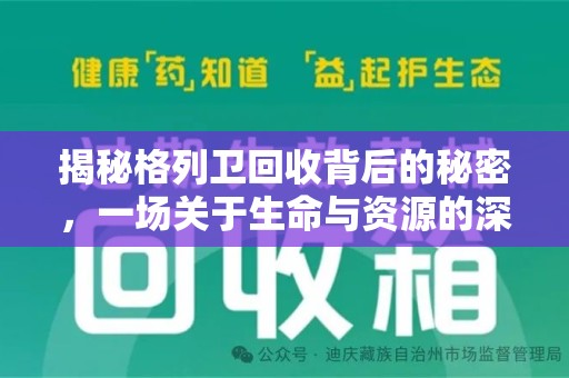 南通揭秘格列卫回收背后的秘密，一场关于生命与资源的深刻探讨